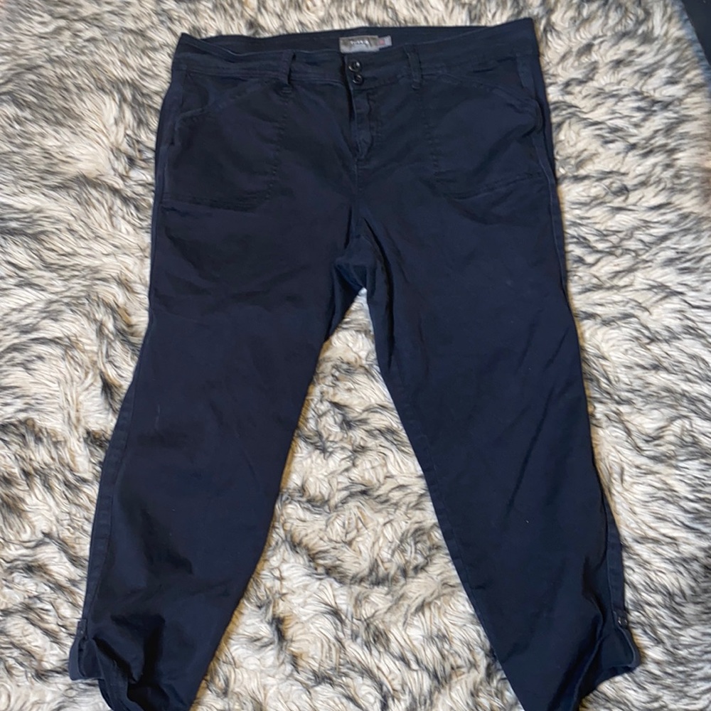 Torrid Ankle black Pants Sz 20